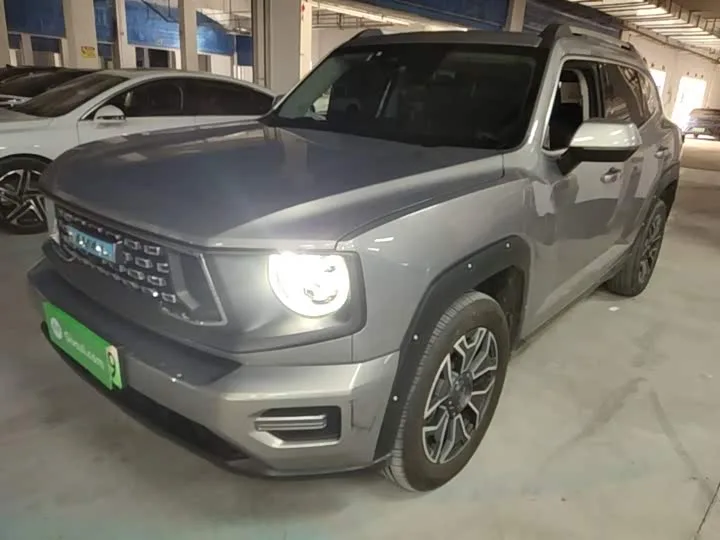Haval H-Dog Hybrid 2023 из Китая — купить под ключ