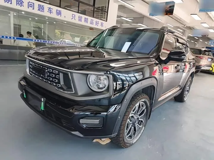 Haval H-Dog Hybrid 2023 из Китая — купить под ключ