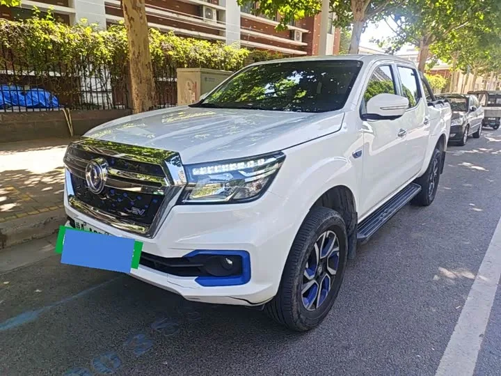 Dongfeng Rich 6 EV 2023 из Китая — купить под ключ
