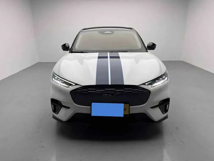 Ford Mustang Mach-E 2023 из Китая — купить под ключ