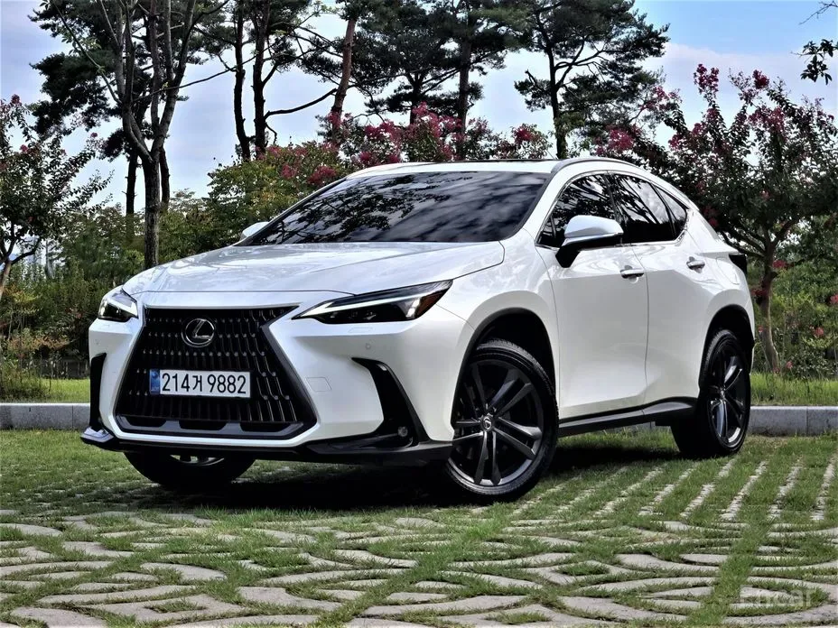 Lexus NX 2025 из Кореи — купить под ключ
