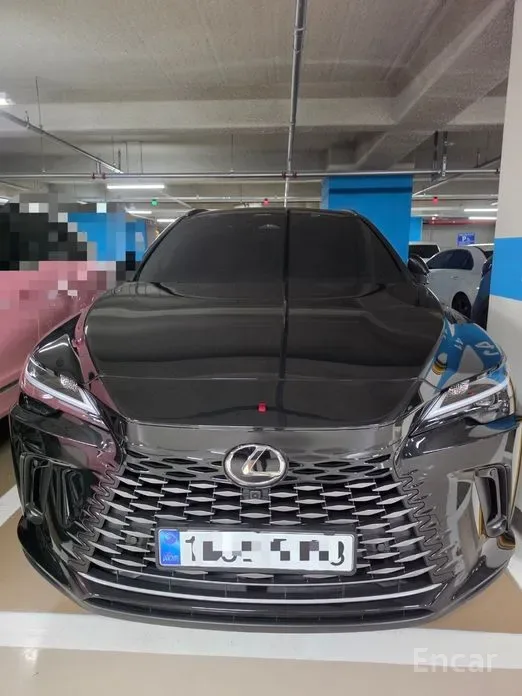 Lexus RX 2026 из Кореи — купить под ключ