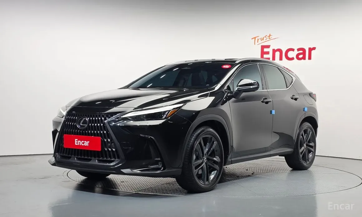Lexus NX 2024 из Кореи — купить под ключ