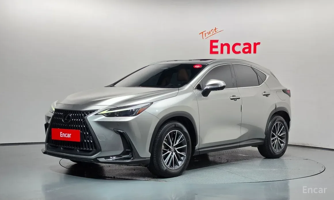 Lexus NX 2023 из Кореи — купить под ключ