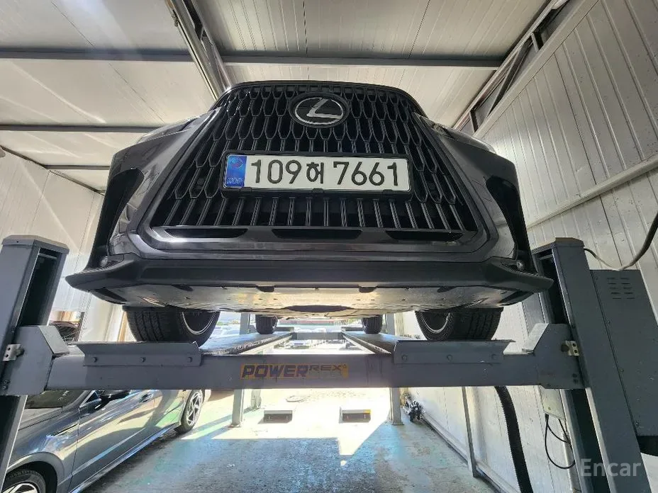 Lexus NX 2025 из Кореи — купить под ключ