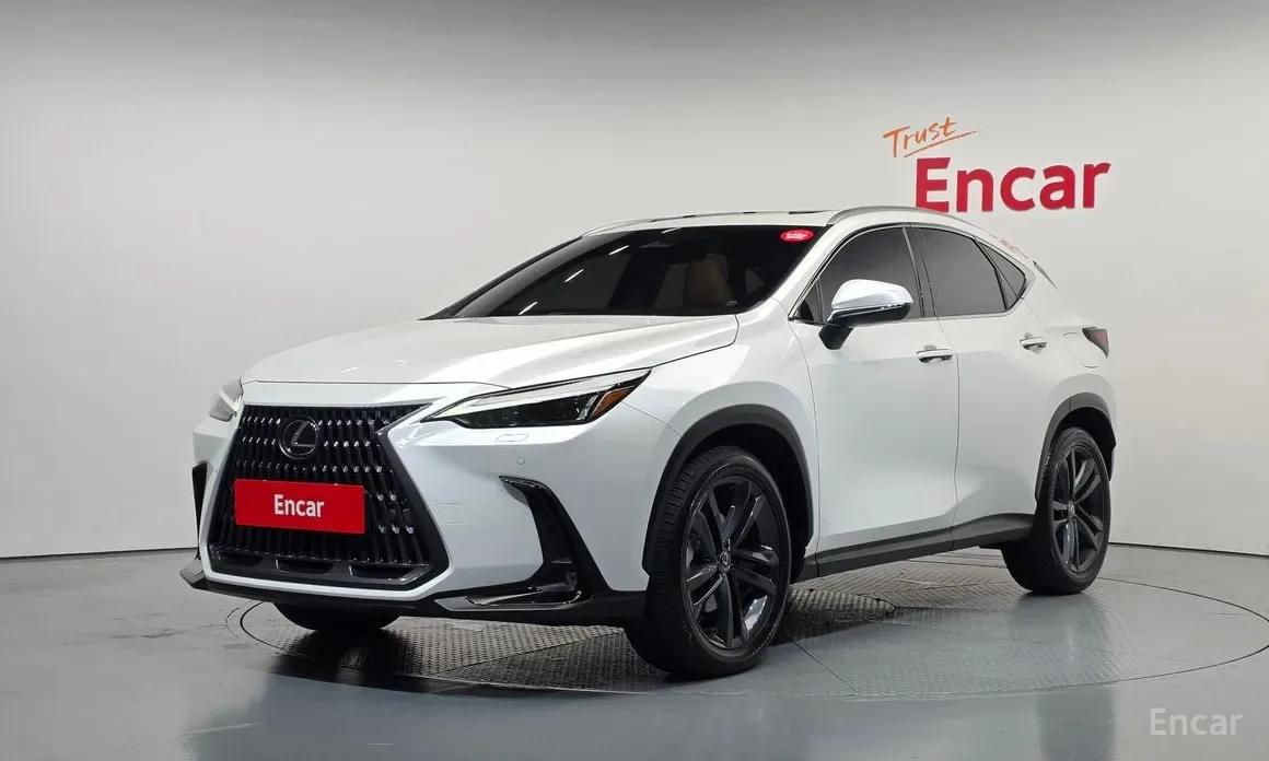 Lexus NX 2024 из Кореи — купить под ключ
