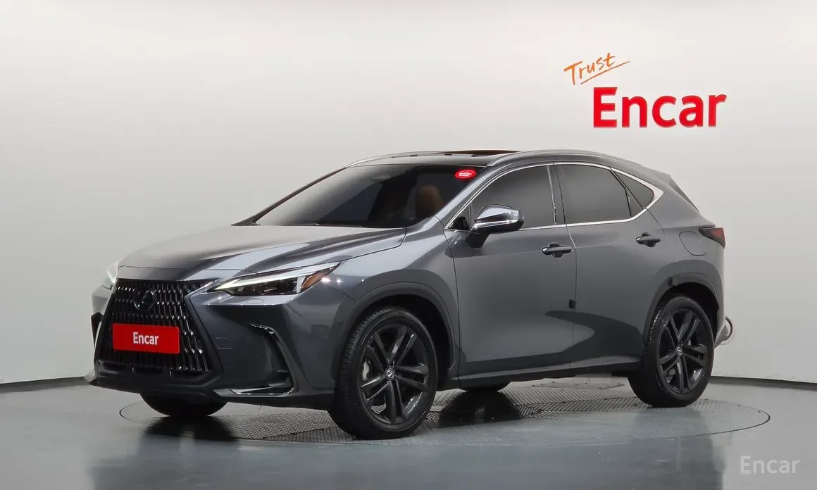Lexus NX 2023 из Кореи — купить под ключ
