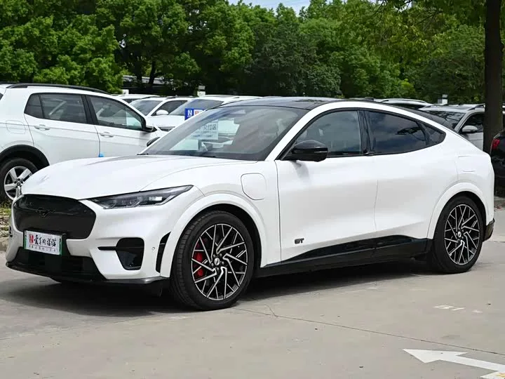 Ford Mustang Mach-E 2023 из Китая — купить под ключ