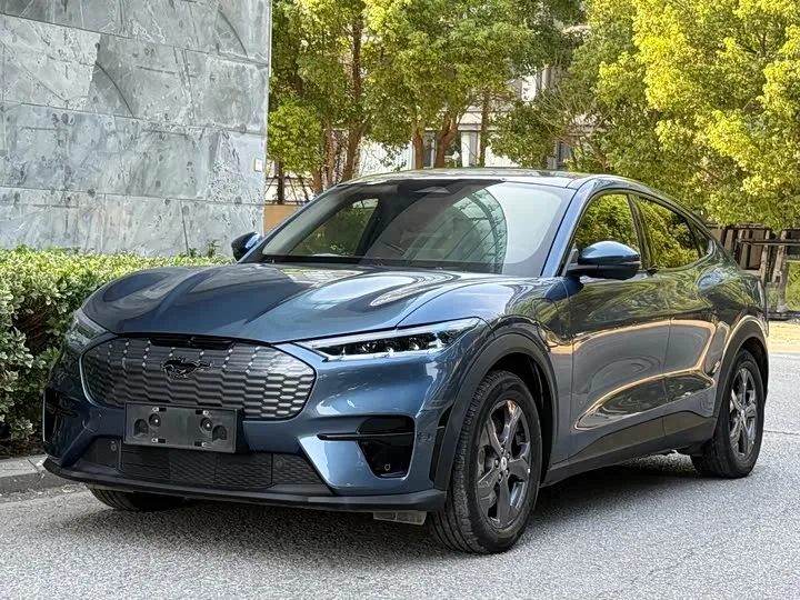 Ford Mustang Mach-E 2022 из Китая — купить под ключ