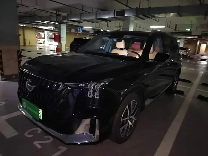 GAC Trumpchi ES9 2024 из Китая — купить под ключ