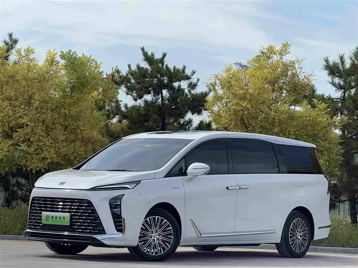 Buick GL8 Hybrid 2025 из Китая — купить под ключ