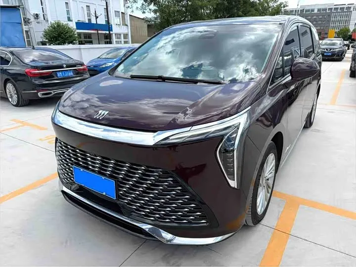 Buick GL8 Century 2024 из Китая — купить под ключ