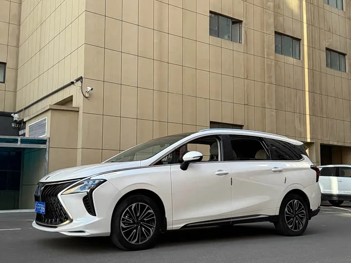 Dongfeng Forthing Yacht 2023 из Китая — купить под ключ