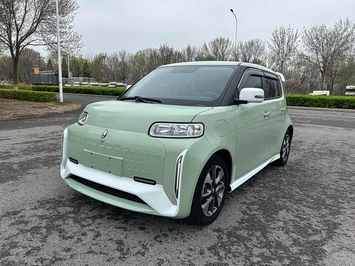 Ora White Cat 2022 из Китая — купить под ключ