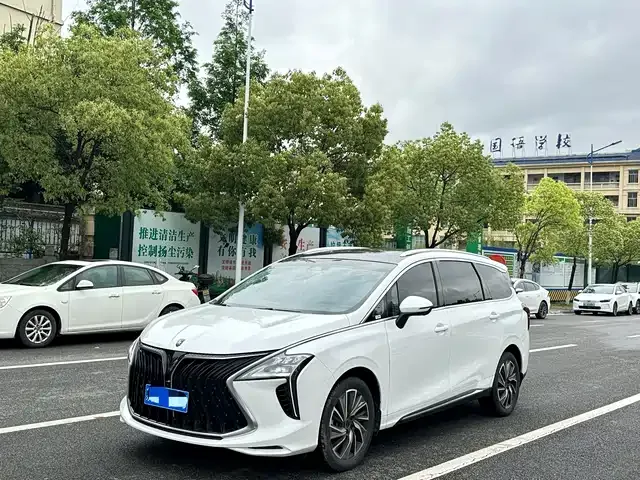 Dongfeng Forthing Yacht 2023 из Китая — купить под ключ