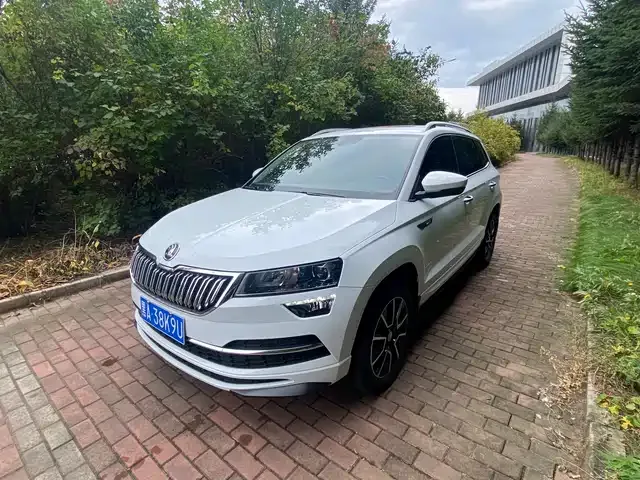 Skoda Karoq 2024 из Китая — купить под ключ