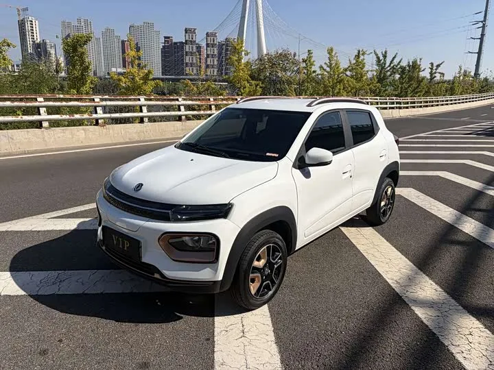 Dongfeng Yipai Nano Box 2024 из Китая — купить под ключ