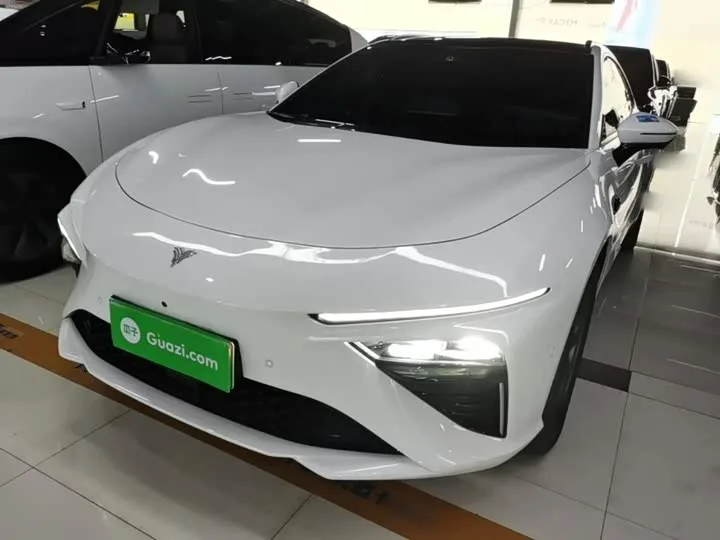 Hozon S Hunting 2025 из Китая — купить под ключ