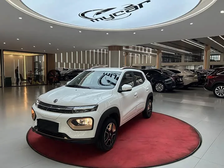 Dongfeng Yipai Nano Box 2024 из Китая — купить под ключ