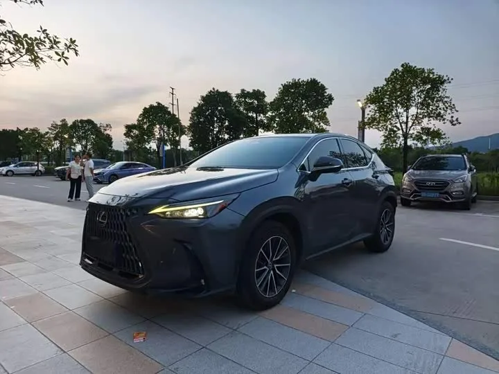 Lexus NX 2022 из Китая — купить под ключ