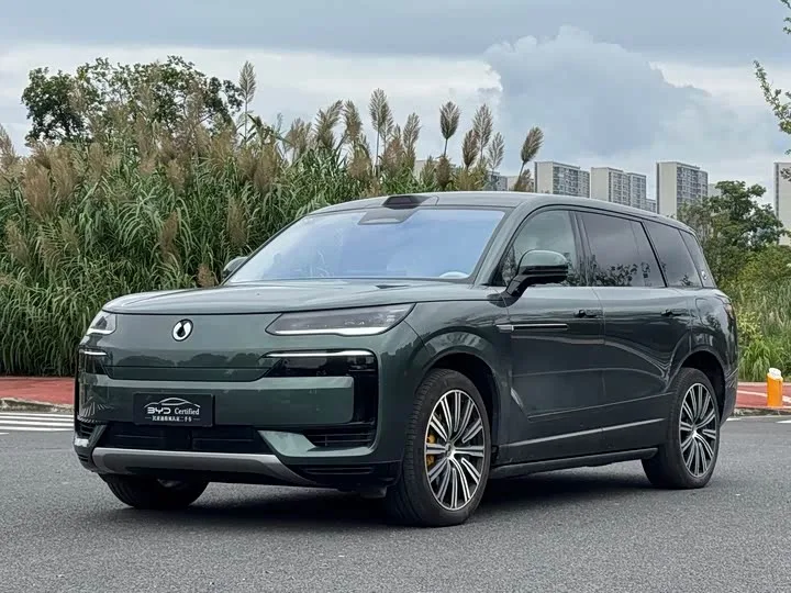 Denza N9 2025 из Китая — купить под ключ