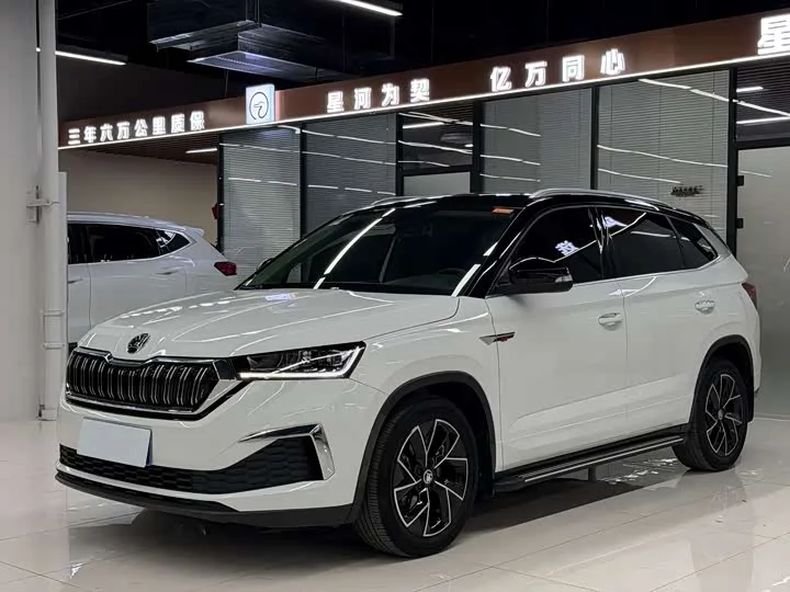 Skoda Kamiq 2024 из Китая — купить под ключ