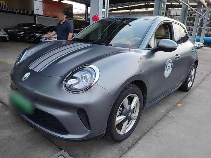 Ora Good Cat GT (03 GT) 2025 из Китая — купить под ключ