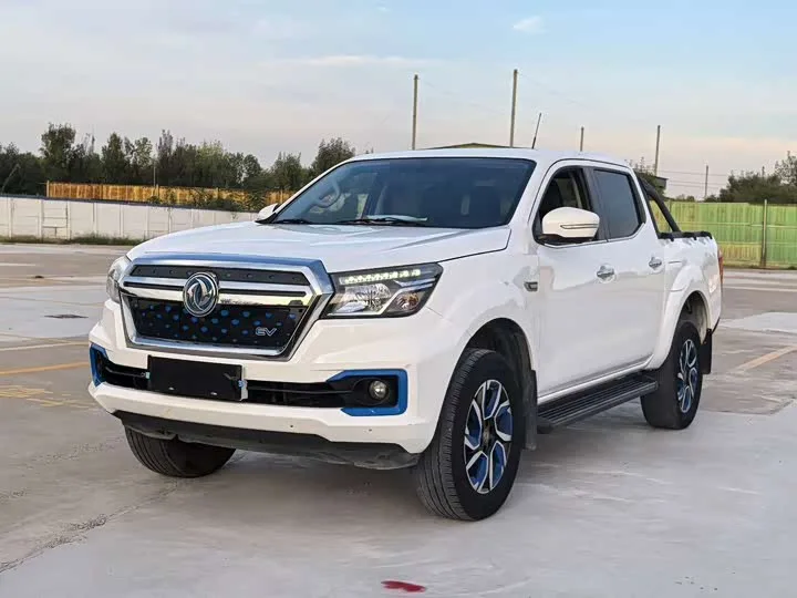 Dongfeng Rich 6 EV 2023 из Китая — купить под ключ
