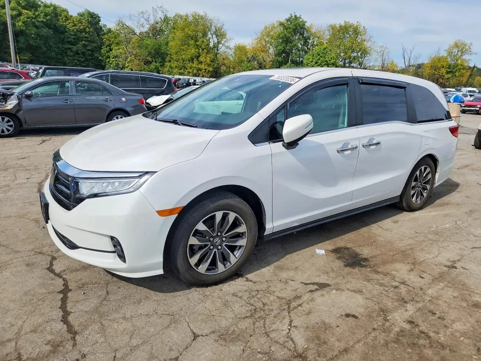 Honda ALL Models 2024 из США — купить под ключ