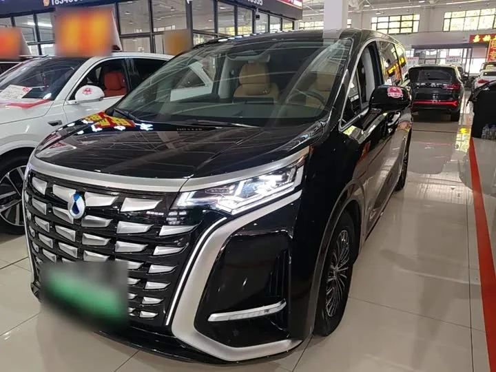 Denza D9 2024 из Китая — купить под ключ