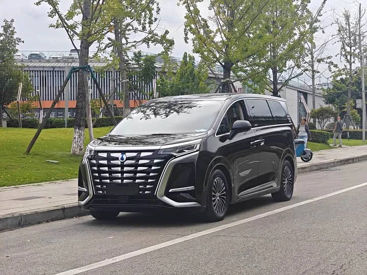 Denza D9 2024 из Китая — купить под ключ