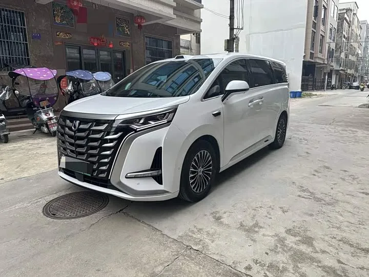 Denza D9 2025 из Китая — купить под ключ