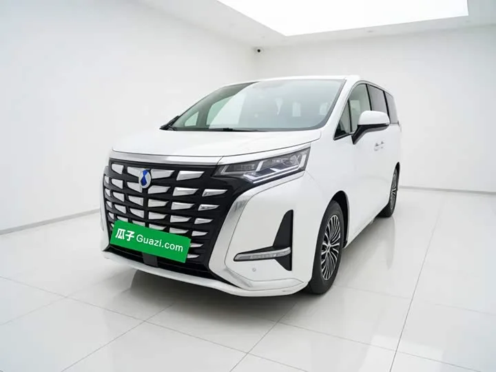 Denza D9 2023 из Китая — купить под ключ