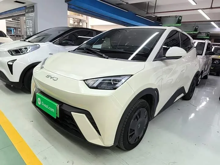 BYD Seagull 2024 из Китая — купить под ключ