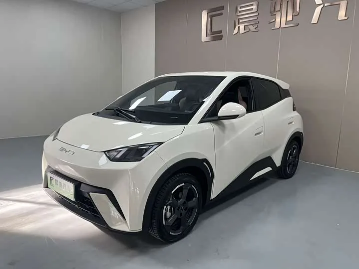 BYD Seagull 2024 из Китая — купить под ключ