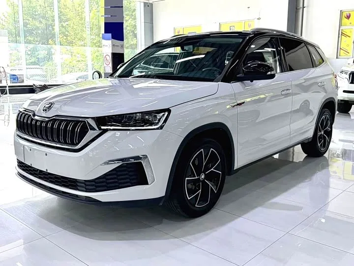 Skoda Kamiq 2023 из Китая — купить под ключ