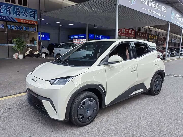 BYD Seagull 2025 из Китая — купить под ключ
