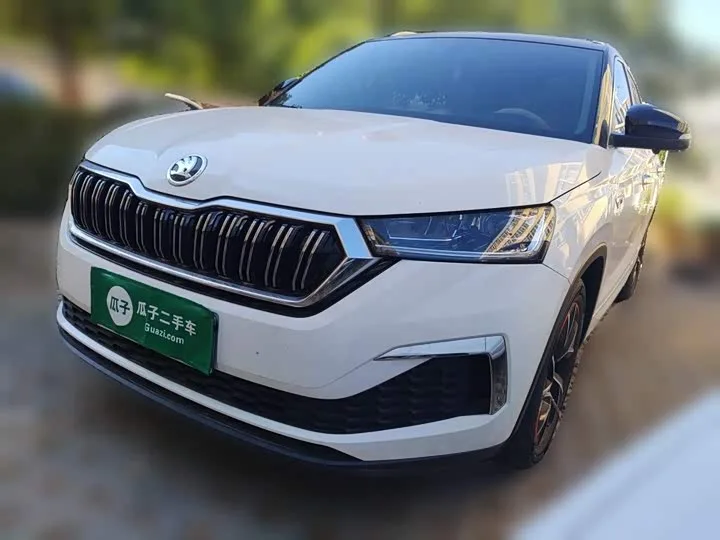 Skoda Kamiq 2024 из Китая — купить под ключ
