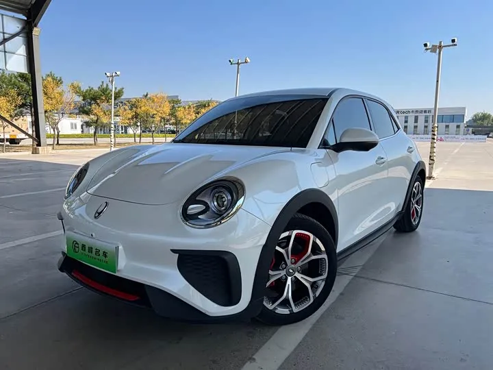 Ora Good Cat GT (03 GT) 2024 из Китая — купить под ключ