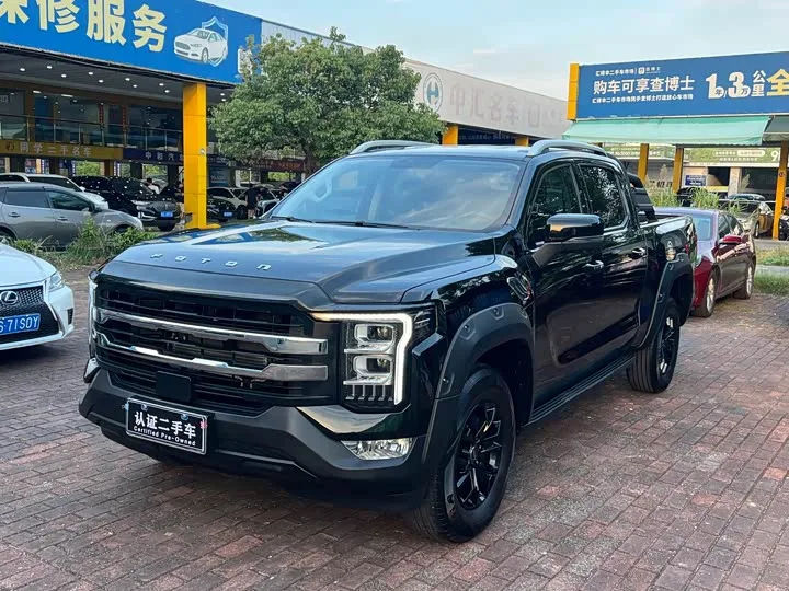 Foton Mars 2025 из Китая — купить под ключ