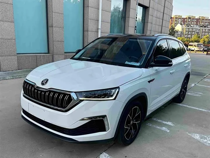 Skoda Kamiq 2023 из Китая — купить под ключ