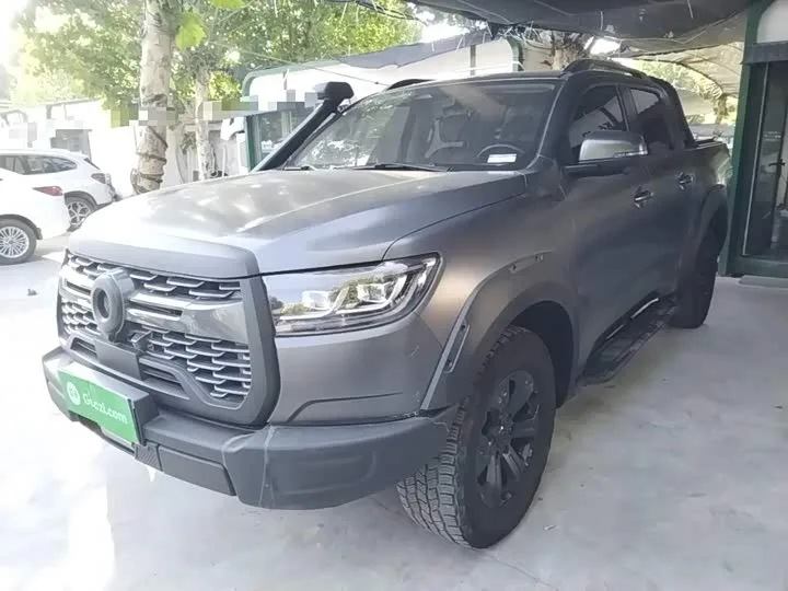 Great Wall Pao 2024 из Китая — купить под ключ