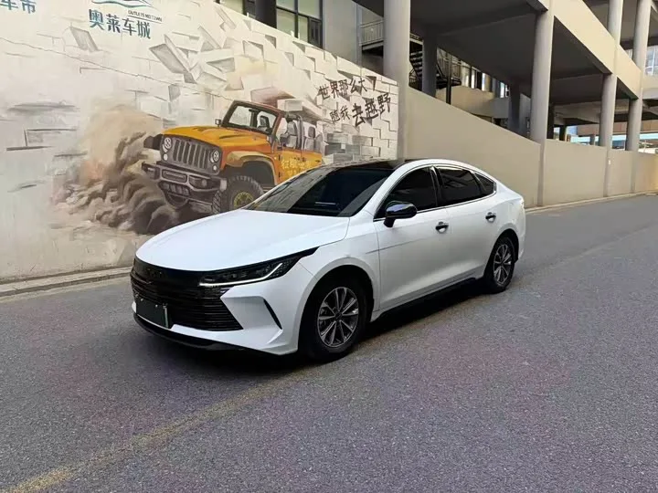 BYD Destroyer 05 2024 из Китая — купить под ключ