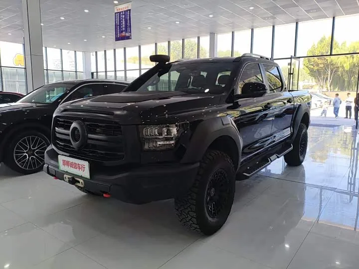 Great Wall Shanhai Poer Hybrid 2025 из Китая — купить под ключ