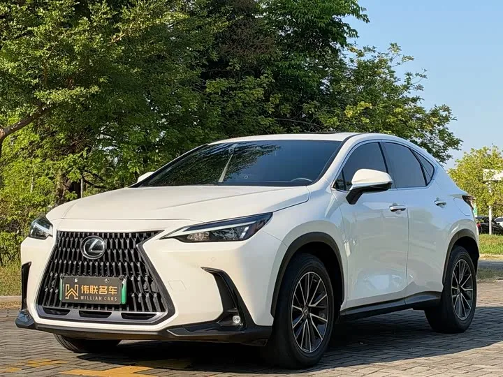 Lexus NX Hybrid 2022 из Китая — купить под ключ