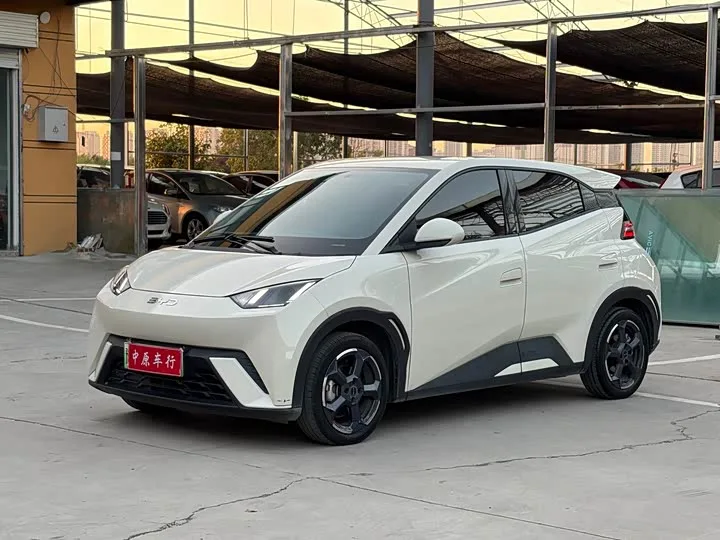 BYD Seagull 2024 из Китая — купить под ключ
