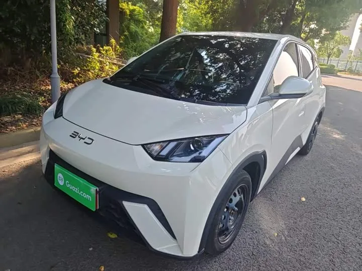BYD Seagull 2024 из Китая — купить под ключ