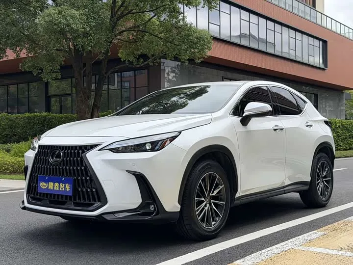 Lexus NX 2023 из Китая — купить под ключ