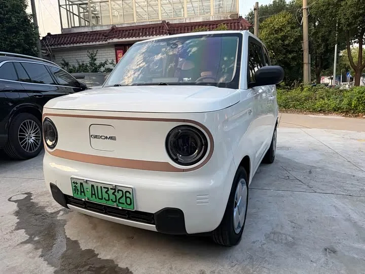 Geely Galaxy Panda Mini 2024 из Китая — купить под ключ