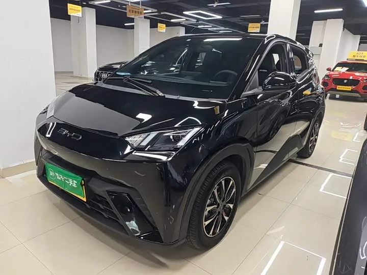 BYD Seagull 2024 из Китая — купить под ключ